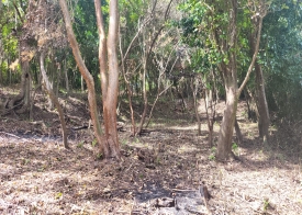 Property For Sale: Lot Land For Sale Fairhall Ref VHFHR